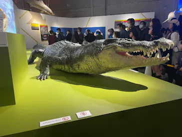 特別展「超危険生物展　科学で挑む生き物の本気」に投稿された画像（2026/3/24）