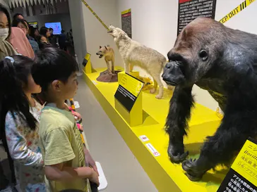 特別展「超危険生物展　科学で挑む生き物の本気」に投稿された画像（2026/3/24）