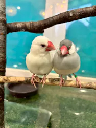 Moff animal cafe iias つくば店に投稿された画像（2026/3/24）