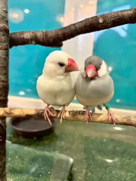 Moff animal cafe iias つくば店に投稿された画像（2026/3/24）