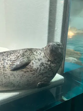 大分マリーンパレス水族館 「うみたまご」に投稿された画像（2026/3/24）