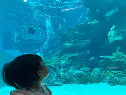 名古屋港水族館に投稿された画像（2026/3/24）