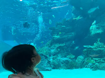 名古屋港水族館に投稿された画像（2026/3/24）