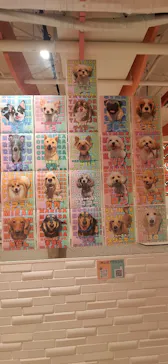 いぬカフェRio 池袋店に投稿された画像（2026/3/24）