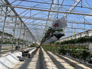 井上寅雄農園に投稿された画像（2026/3/24）