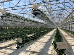 井上寅雄農園に投稿された画像（2026/3/24）