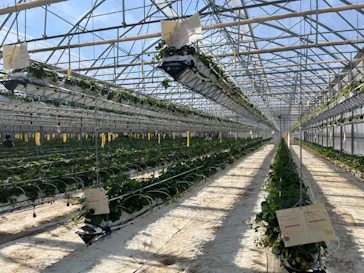 井上寅雄農園に投稿された画像（2026/3/24）