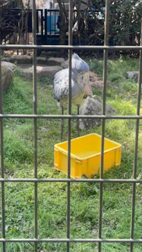 千葉市動物公園に投稿された画像（2026/3/24）