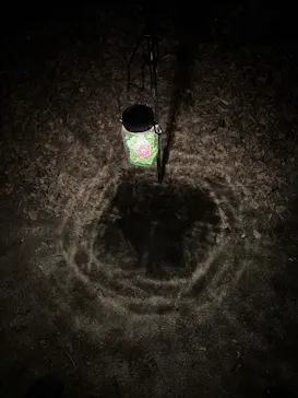 六義園に投稿された画像（2026/3/24）