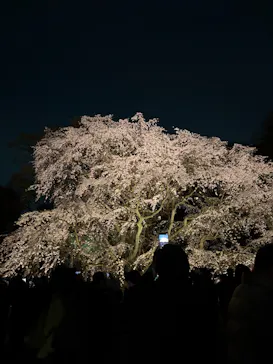 六義園に投稿された画像（2026/3/24）