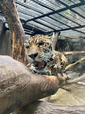 那須どうぶつ王国に投稿された画像（2026/3/24）