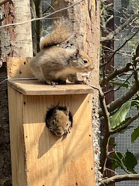 那須どうぶつ王国に投稿された画像（2026/3/24）