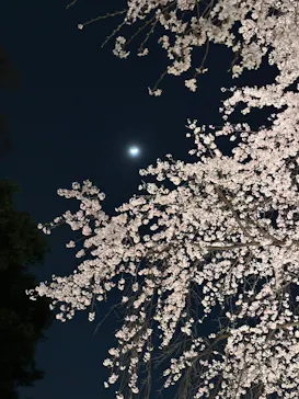 六義園に投稿された画像（2026/3/24）