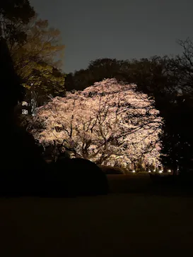 六義園に投稿された画像（2026/3/24）