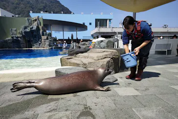 大分マリーンパレス水族館 「うみたまご」に投稿された画像（2026/3/24）