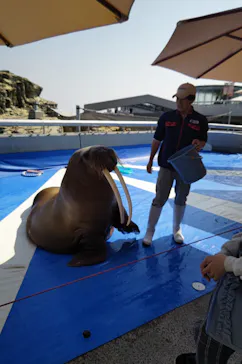 大分マリーンパレス水族館 「うみたまご」に投稿された画像（2026/3/24）