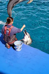 大分マリーンパレス水族館 「うみたまご」に投稿された画像（2026/3/24）