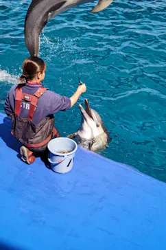 大分マリーンパレス水族館 「うみたまご」に投稿された画像（2026/3/24）
