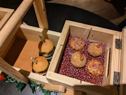 メトロポリタングリル/ヒルトン東京に投稿された画像（2026/3/24）