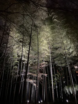 六義園に投稿された画像（2026/3/24）