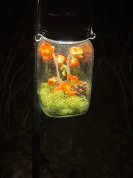 六義園に投稿された画像（2026/3/24）