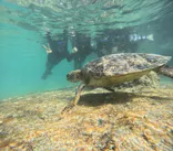 宮古島 ADVENTURE PiPi（ミヤコジマ アドベンチャー ピピ）に投稿された画像（2026/3/24）