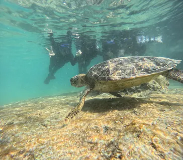 宮古島 ADVENTURE PiPi（ミヤコジマ アドベンチャー ピピ）に投稿された画像（2026/3/24）