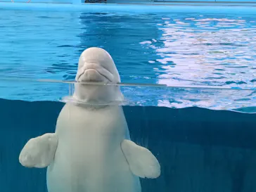 横浜・八景島シーパラダイスに投稿された画像（2026/3/24）