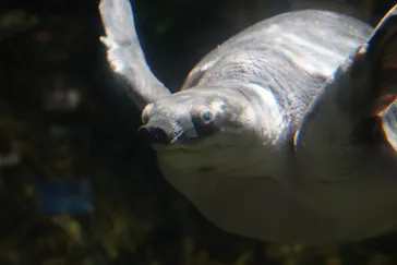 しながわ水族館に投稿された画像（2026/3/24）