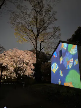 六義園に投稿された画像（2026/3/24）