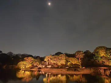 六義園に投稿された画像（2026/3/24）