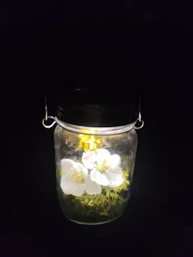 六義園に投稿された画像（2026/3/24）