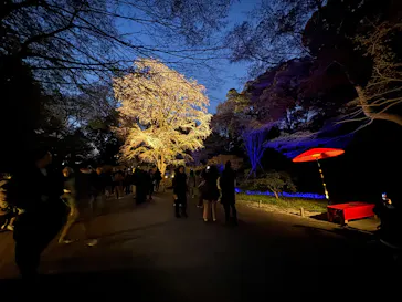 六義園に投稿された画像（2026/3/24）