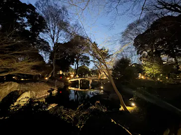 六義園に投稿された画像（2026/3/24）