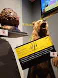 特別展「超危険生物展　科学で挑む生き物の本気」に投稿された画像（2026/3/24）