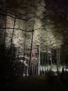 六義園に投稿された画像（2026/3/24）