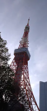 東京タワーに投稿された画像（2026/3/24）