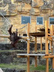 多摩動物公園に投稿された画像（2026/3/24）