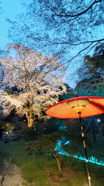 六義園に投稿された画像（2026/3/24）