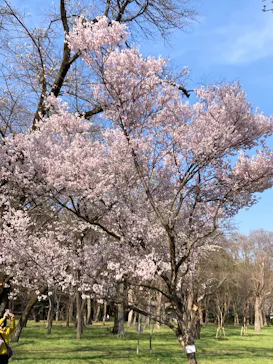 江戸東京たてもの園に投稿された画像（2026/3/24）