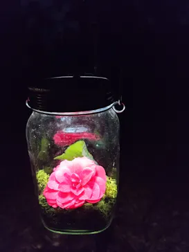 六義園に投稿された画像（2026/3/24）