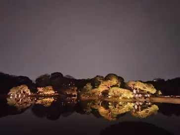 六義園に投稿された画像（2026/3/24）