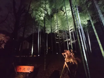 六義園に投稿された画像（2026/3/24）