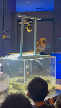 シン・マリホ水族館に投稿された画像（2026/3/24）