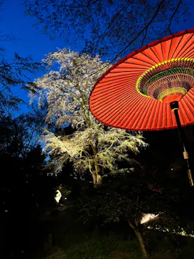 六義園に投稿された画像（2026/3/24）