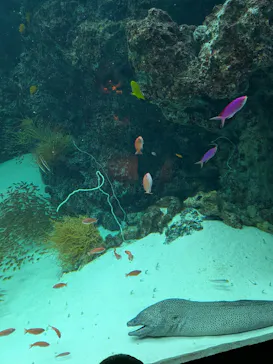 環境水族館アクアマリンふくしまに投稿された画像（2026/3/24）