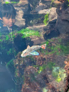 環境水族館アクアマリンふくしまに投稿された画像（2026/3/24）