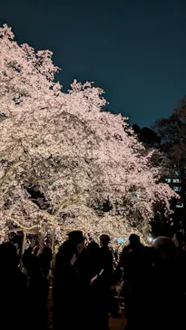 六義園に投稿された画像（2026/3/24）