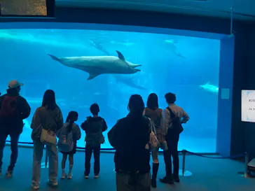 名古屋港水族館に投稿された画像（2026/3/24）