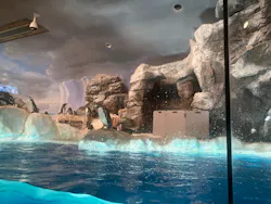 名古屋港水族館に投稿された画像（2026/3/24）